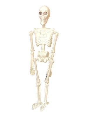 Esqueleto Articulado de Brinquedo 10x40cm Decoração Halloween Realista para Festas, Casas e Brincadeiras Temáticas